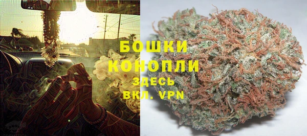 соль ск Арсеньев