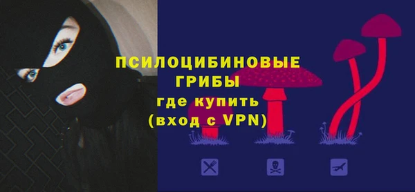 соль ск Арсеньев