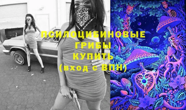 PSILOCYBIN Армянск