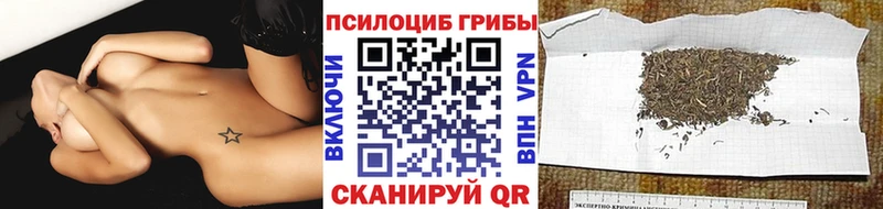Псилоцибиновые грибы прущие грибы Сольцы