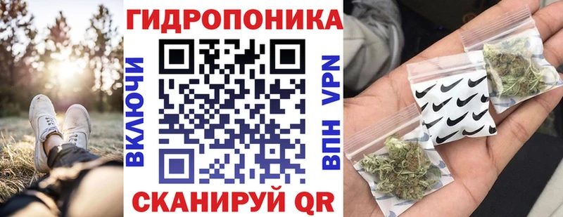 Шишки марихуана AK-47  как найти закладки  Сольцы 